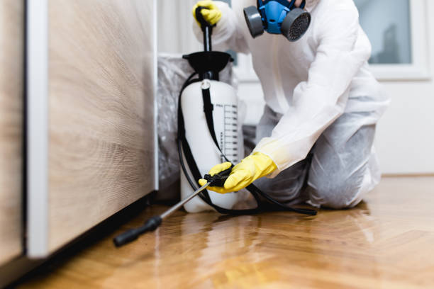 Best Pest Inspection Near Me  in Napervle, IL