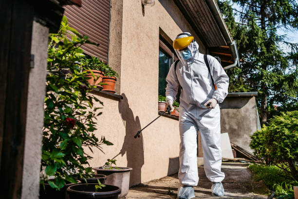 Best Local Pest Control Services  in Napervle, IL
