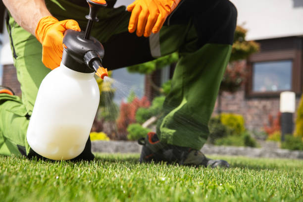 Best Best Pest Control Companies  in Napervle, IL