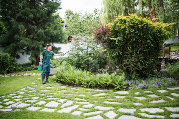 Best Residential Pest Control  in Napervle, IL