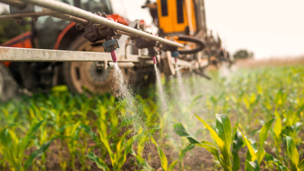 Best Pest Removal Services  in Napervle, IL